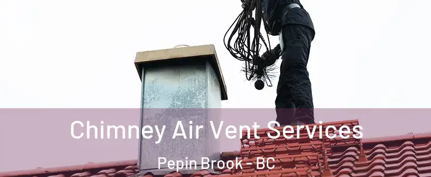  Chimney Air Vent Services Pepin Brook - BC