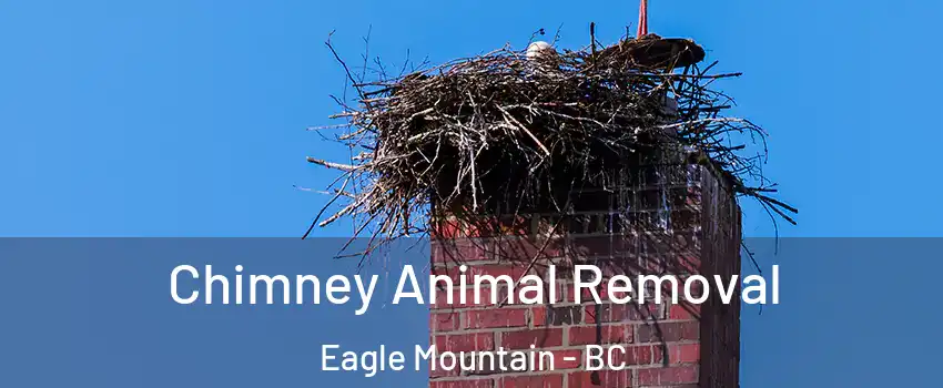 Chimney Animal Removal Eagle Mountain - BC