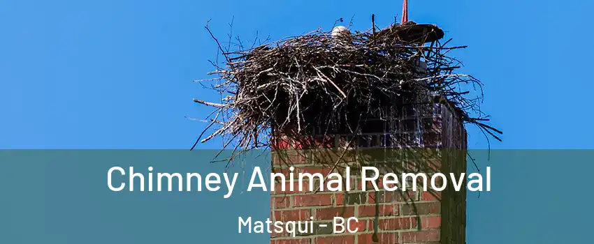 Chimney Animal Removal Matsqui - BC