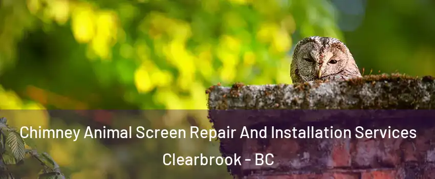  Chimney Animal Screen Repair And Installation Services Clearbrook - BC