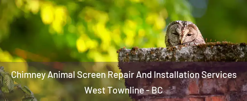  Chimney Animal Screen Repair And Installation Services West Townline - BC