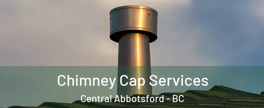  Chimney Cap Services Central Abbotsford - BC