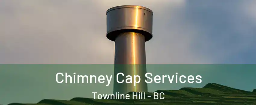  Chimney Cap Services Townline Hill - BC
