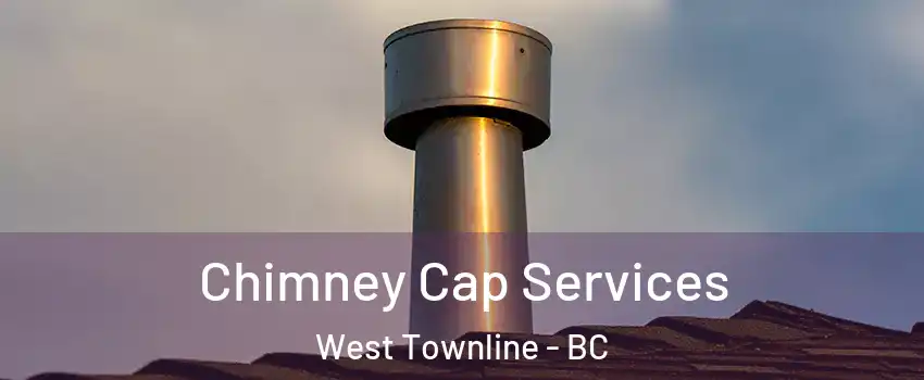  Chimney Cap Services West Townline - BC