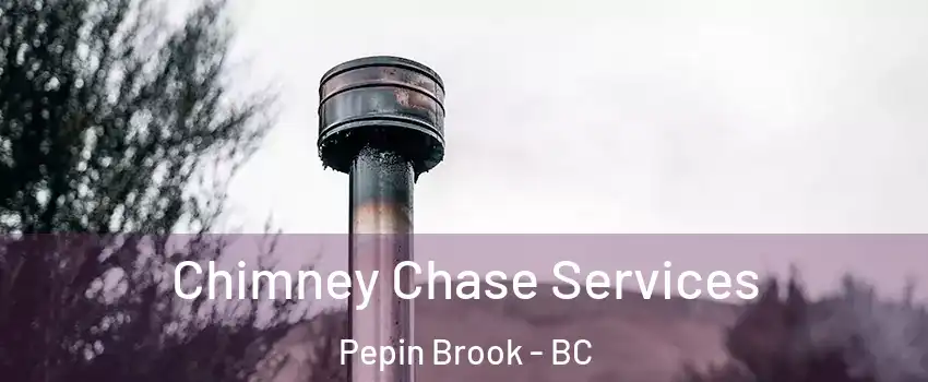  Chimney Chase Services Pepin Brook - BC