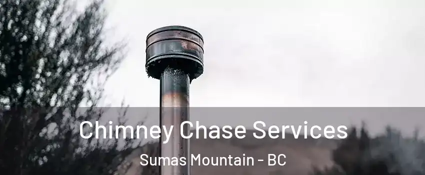  Chimney Chase Services Sumas Mountain - BC