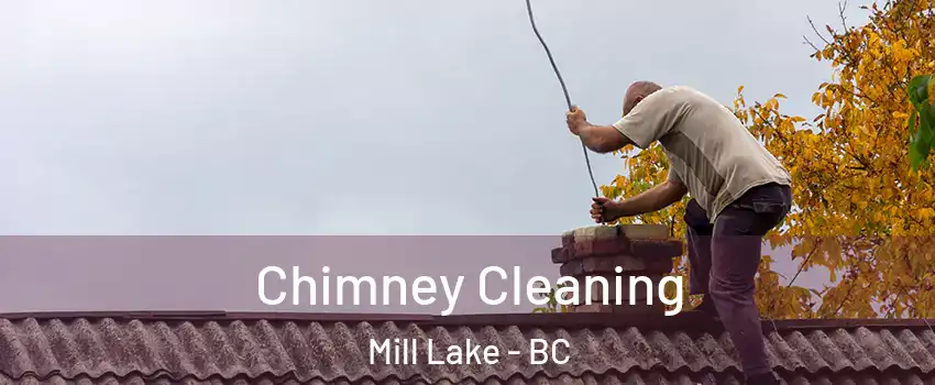  Chimney Cleaning Mill Lake - BC