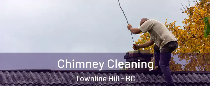  Chimney Cleaning Townline Hill - BC