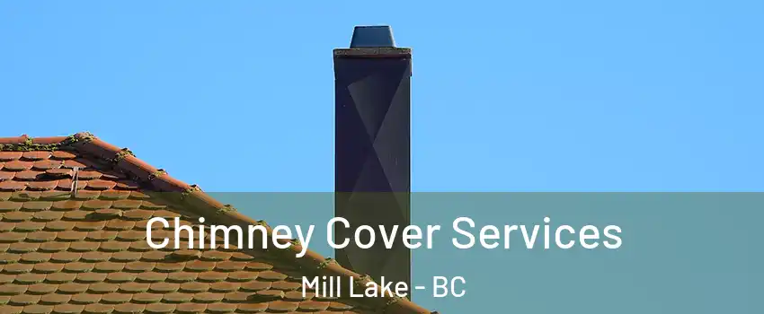  Chimney Cover Services Mill Lake - BC