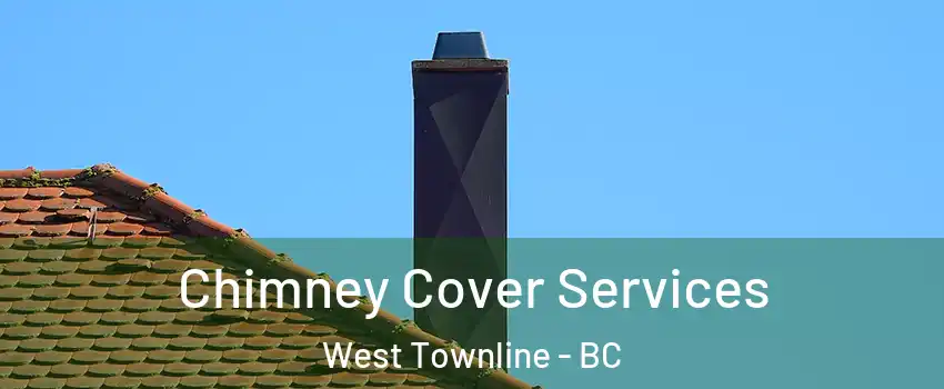  Chimney Cover Services West Townline - BC