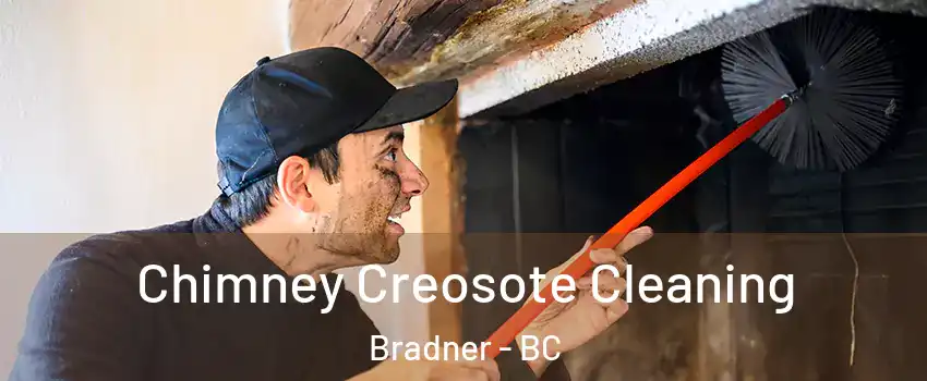  Chimney Creosote Cleaning Bradner - BC