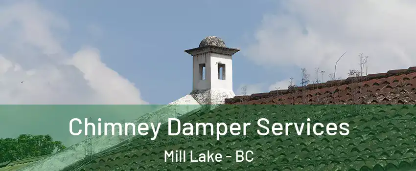  Chimney Damper Services Mill Lake - BC