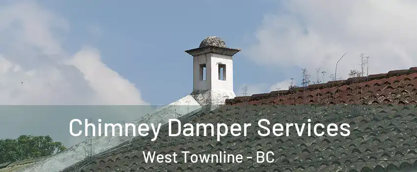  Chimney Damper Services West Townline - BC