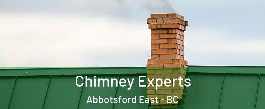 Chimney Experts Abbotsford East - BC