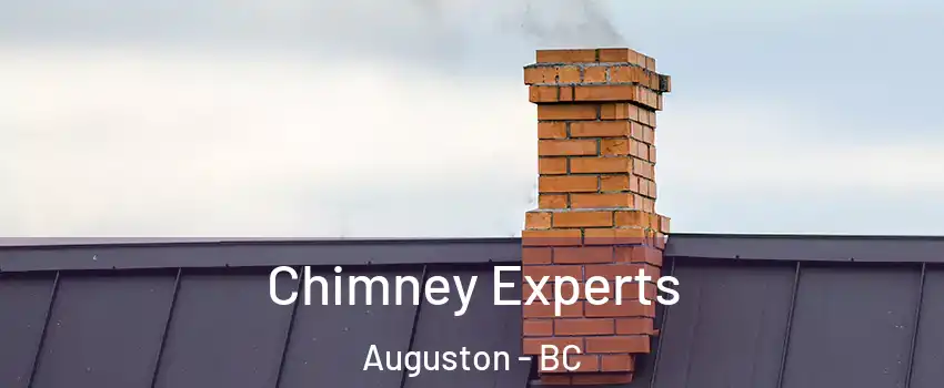  Chimney Experts Auguston - BC