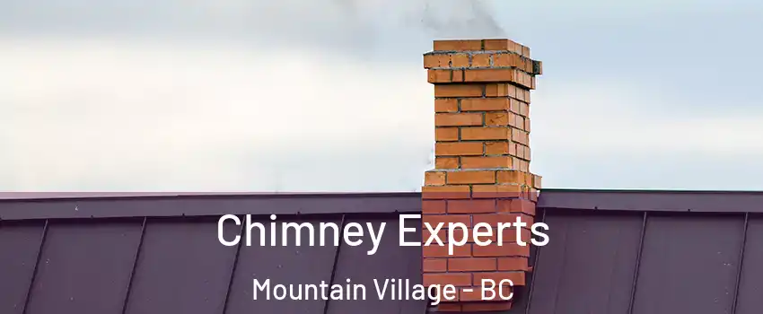 Chimney Experts Mountain Village - BC