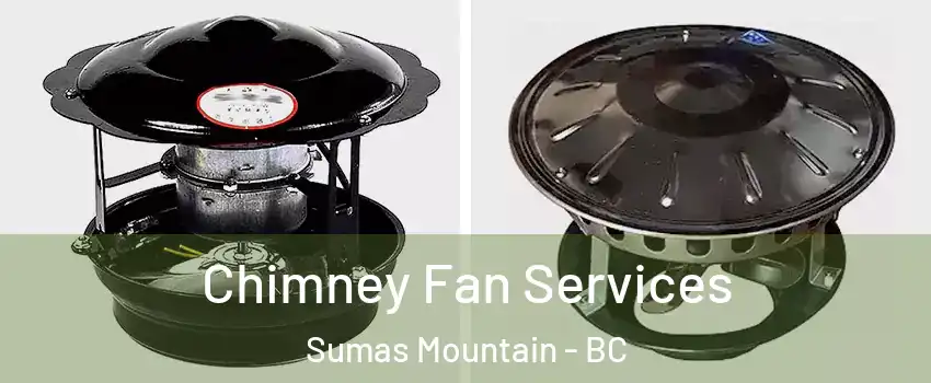  Chimney Fan Services Sumas Mountain - BC