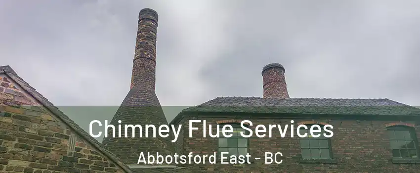  Chimney Flue Services Abbotsford East - BC