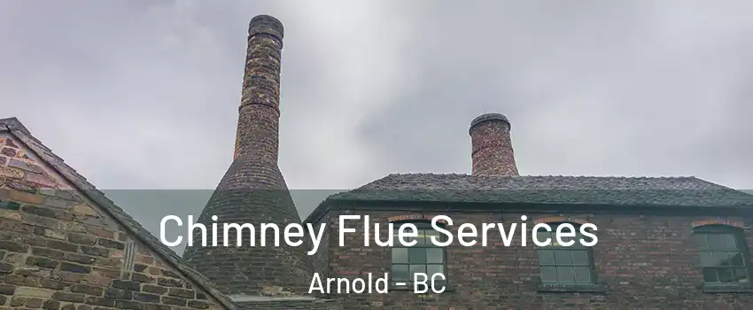  Chimney Flue Services Arnold - BC