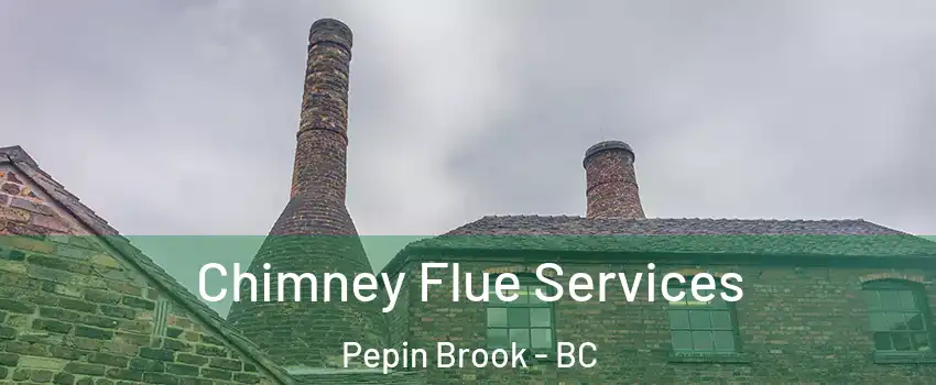  Chimney Flue Services Pepin Brook - BC