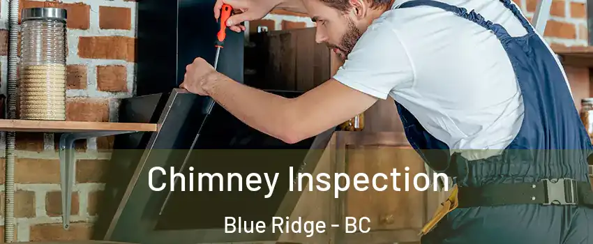  Chimney Inspection Blue Ridge - BC