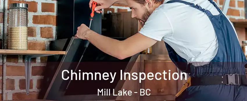 Chimney Inspection Mill Lake - BC
