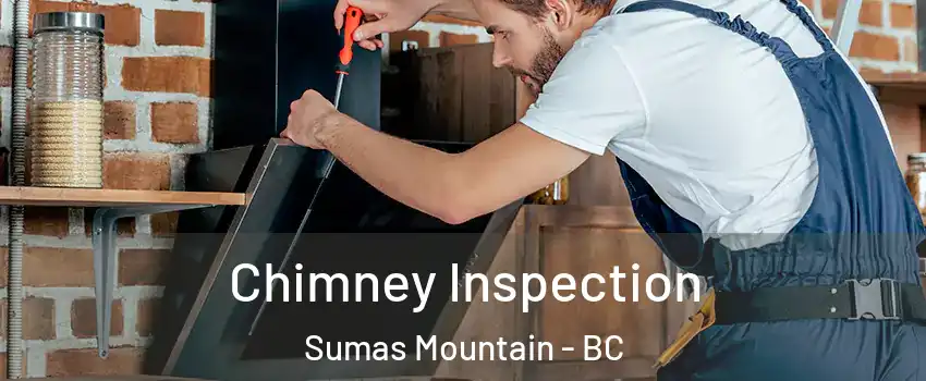  Chimney Inspection Sumas Mountain - BC
