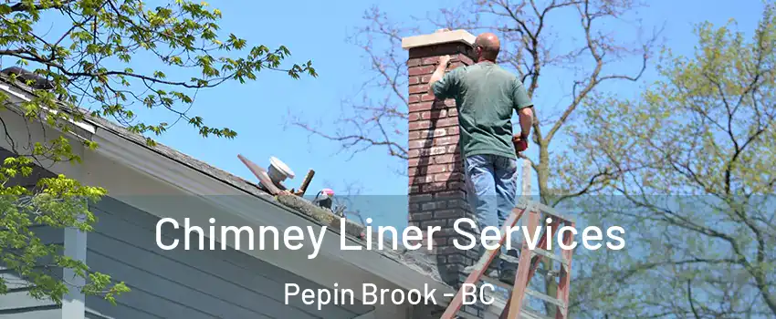  Chimney Liner Services Pepin Brook - BC