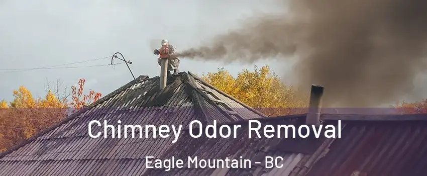  Chimney Odor Removal Eagle Mountain - BC