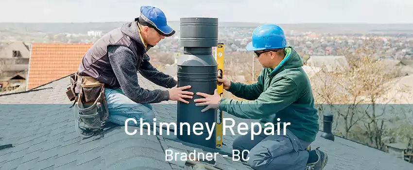  Chimney Repair Bradner - BC