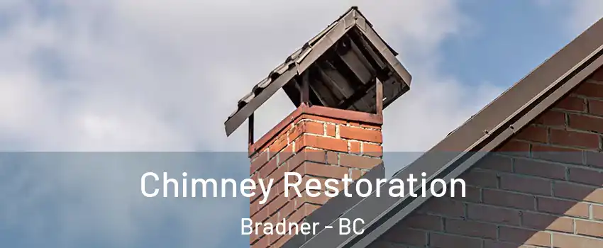  Chimney Restoration Bradner - BC