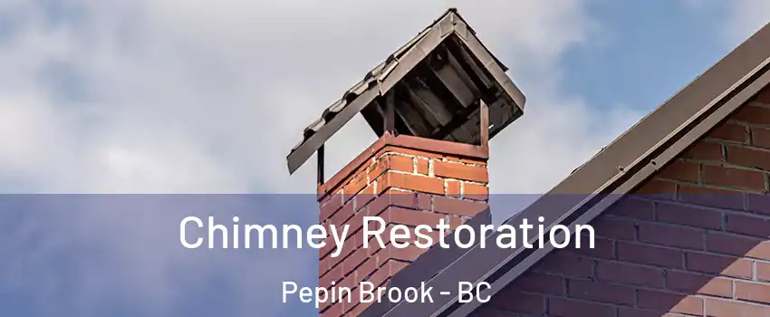  Chimney Restoration Pepin Brook - BC