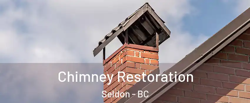  Chimney Restoration Seldon - BC