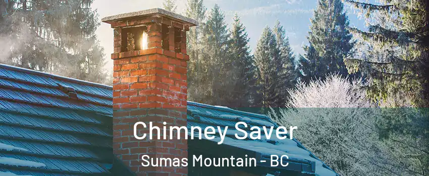  Chimney Saver Sumas Mountain - BC