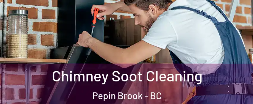  Chimney Soot Cleaning Pepin Brook - BC