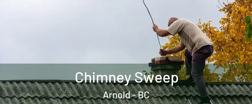  Chimney Sweep Arnold - BC