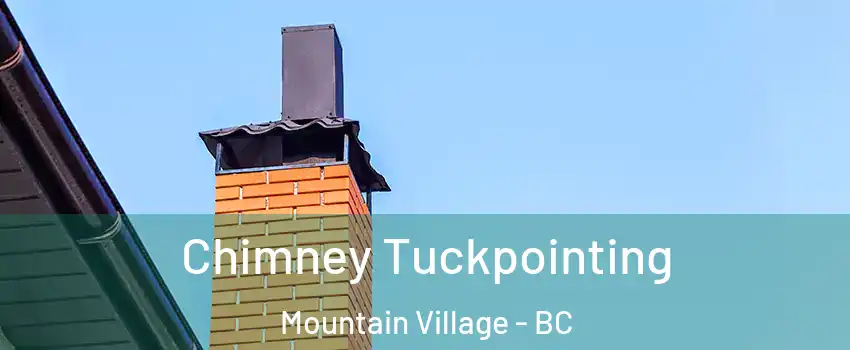  Chimney Tuckpointing Mountain Village - BC