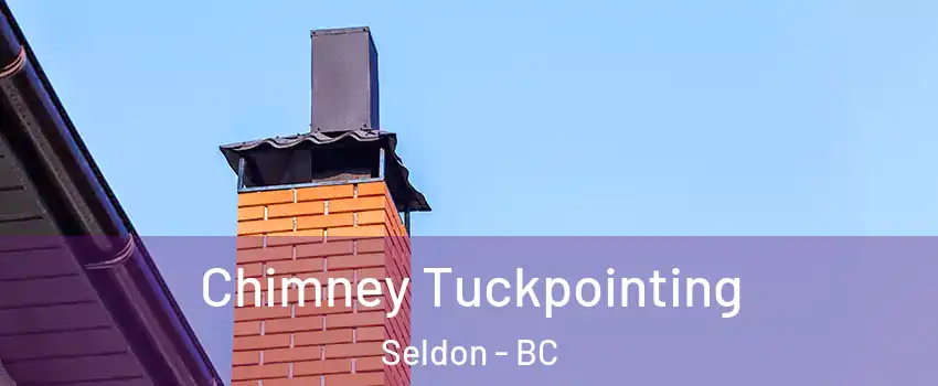  Chimney Tuckpointing Seldon - BC