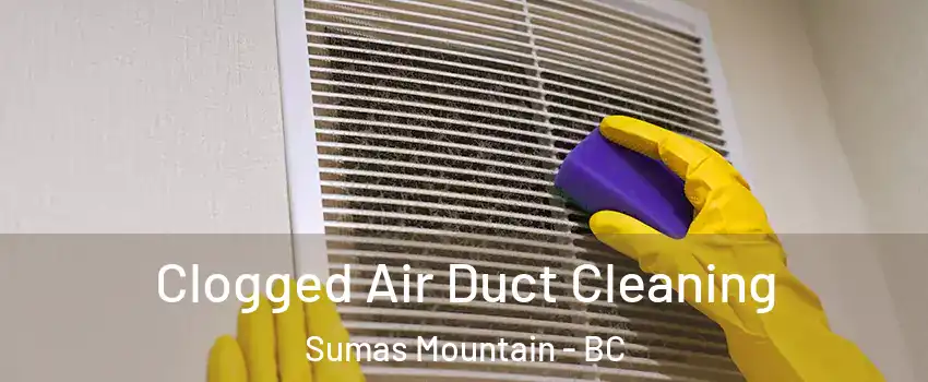  Clogged Air Duct Cleaning Sumas Mountain - BC