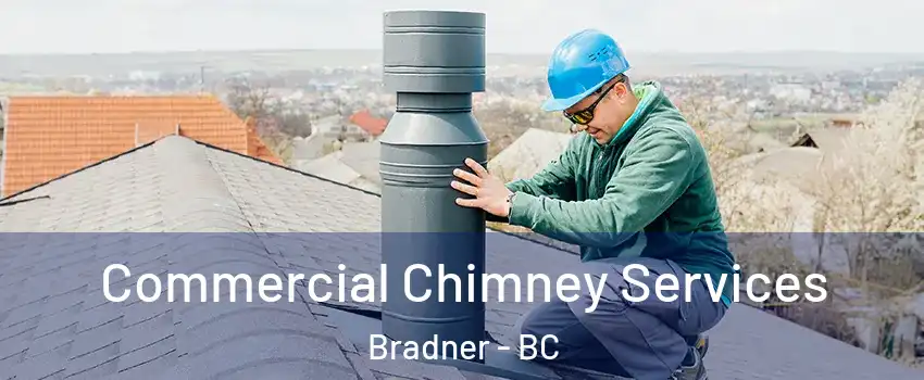  Commercial Chimney Services Bradner - BC