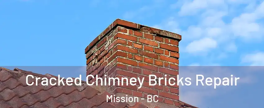  Cracked Chimney Bricks Repair Mission - BC