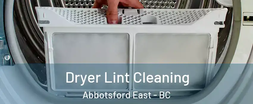  Dryer Lint Cleaning Abbotsford East - BC