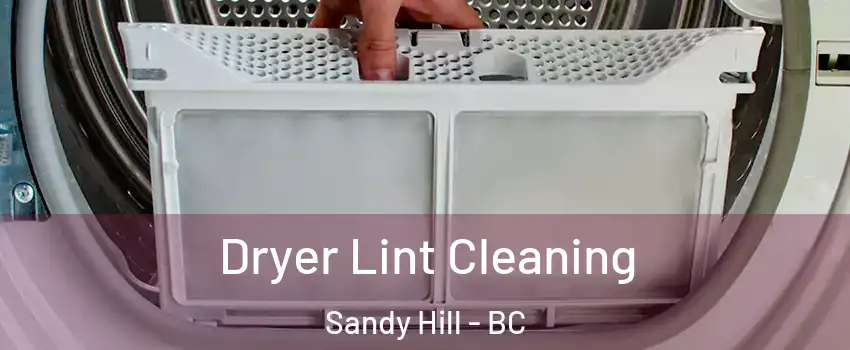  Dryer Lint Cleaning Sandy Hill - BC