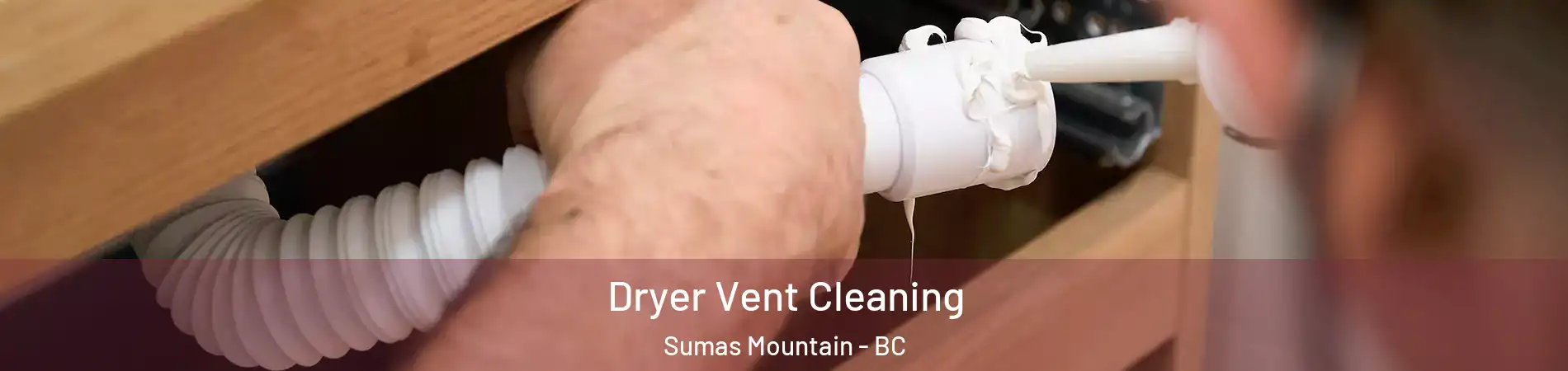 Dryer Vent Cleaning Sumas Mountain - BC