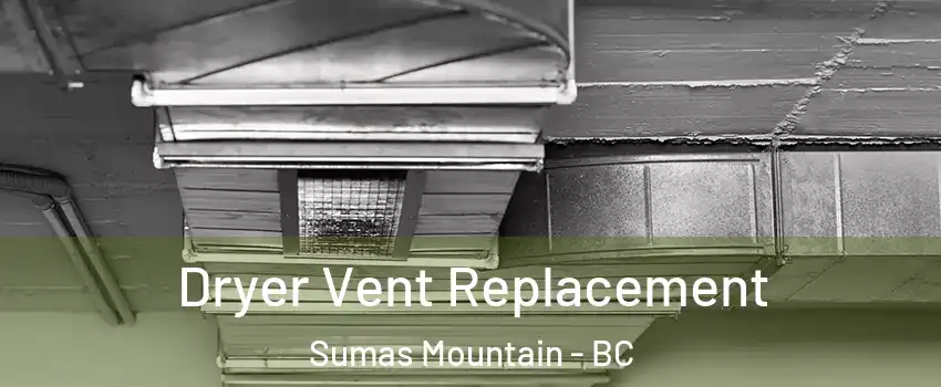  Dryer Vent Replacement Sumas Mountain - BC