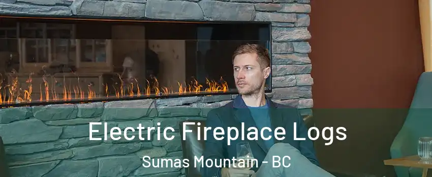 Electric Fireplace Logs Sumas Mountain - BC