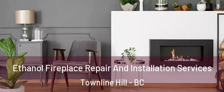  Ethanol Fireplace Repair And Installation Services Townline Hill - BC