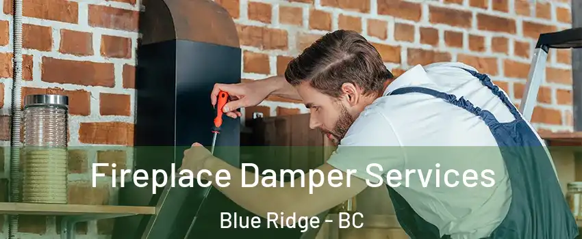  Fireplace Damper Services Blue Ridge - BC