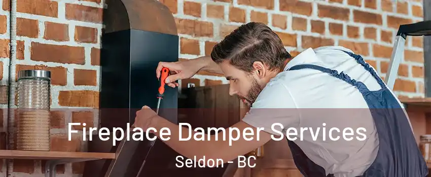  Fireplace Damper Services Seldon - BC