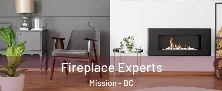  Fireplace Experts Mission - BC